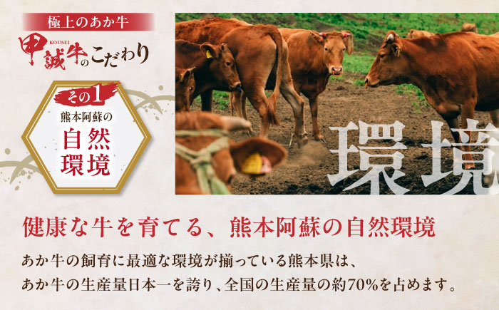 【全3回定期便】熊本県産 あか牛 リブローススライスセット 400g 冷凍 専用タレ付き あか牛のたれ付き すき焼き しゃぶしゃぶ 熊本和牛【有限会社 三協畜産】[YCG057] 