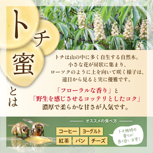 純粋はちみつ トチ 250g 2本 【山本養蜂場】 ／ ハチミツ 蜂蜜 栃 とち