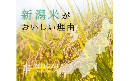 【6か月定期便】R7年産 新潟県産 コシヒカリ 10kg （精米） 新潟のど真ん中 見附市 こしひかり 米 お米 白米 国産 ごはん ご飯