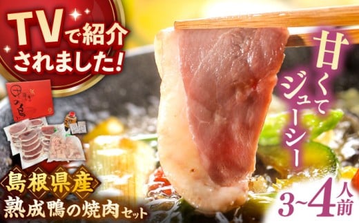 鴨肉 テレビ番組で紹介されました！島根県産野草ミネラル熟成鴨の焼肉セット（3〜4人前）【美味しい食べ方レシピ付き】鴨鍋 鴨肉 焼肉 しゃぶしゃぶ おすすめ 人気 国産 かも カモ肉 鍋セット 肉 熟成肉 お肉 焼き肉 BBQ バーベキュー 家族 ファミリー 贈答 贈り物 ギフト お祝い お取り寄せ グルメ 詰め合わせ 記念日 誕生日 お誕生日 島根県雲南市/鴨専門店カナール [AIDC001]