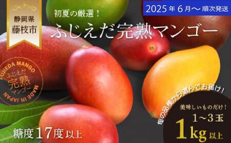 マンゴー 【オンライン決裁限定】 【 先行予約 : 2025年6月頃より順次発送 】 完熟マンゴー 1kg  | マンゴーマンゴーマンゴーマンゴー FN-SupportProject