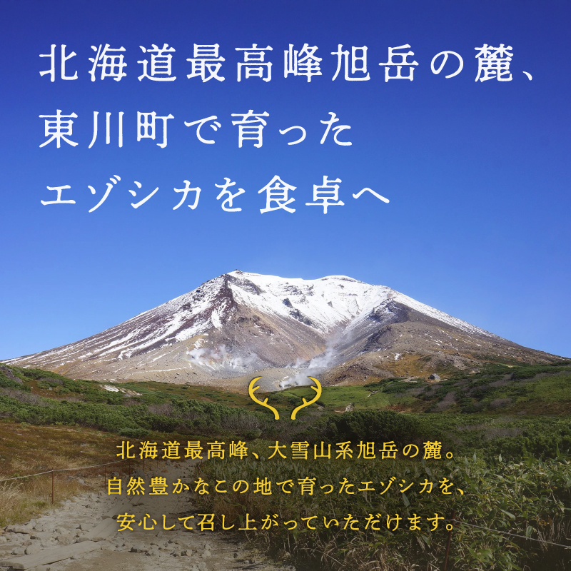 ジビエ加工品3点セット　大雪山麓エゾシカシリーズ（カレー・ジャーキー・そぼろ）