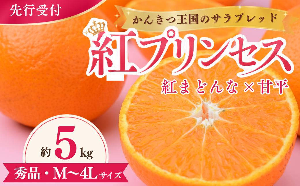 
                  【先行受付】紅プリンセス 5kg 秀 M～４Lサイズ  | 紅まどんな × 甘平 みかん 愛媛 みかん 愛媛県産 ミカン 蜜柑 愛果48号 新品種 柑橘 かんきつ フルーツ 果物 国産フルーツ 国産 愛媛みかん 愛媛ミカン 数量限定 愛媛県 上島町
                