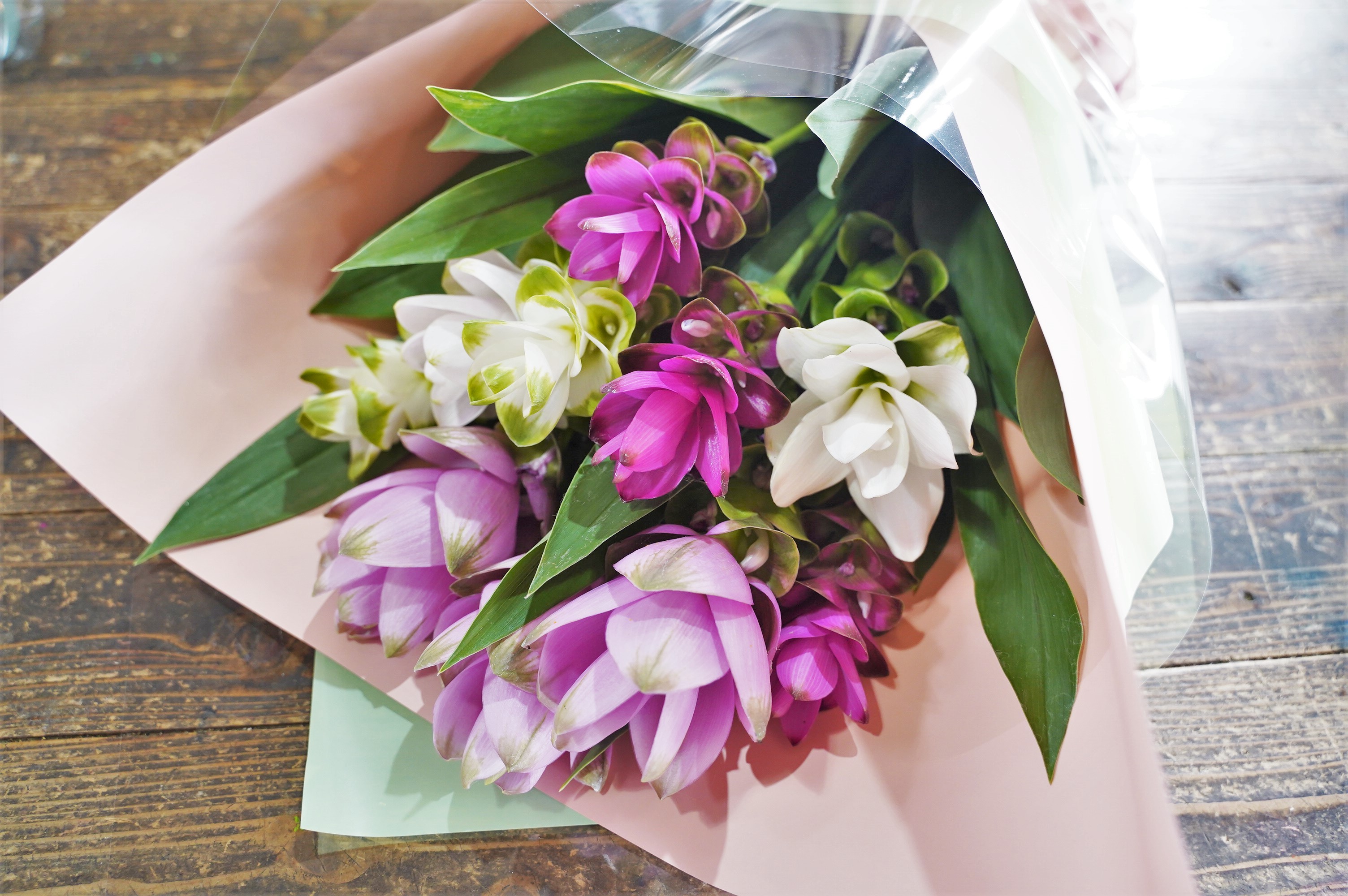 
                  【暑さに強い花】 クルクマの花束 クルクマ 花 紫 白 夏 敬老の日 贈り物 プレゼント フラワーギフト インテリア 雑貨　H092-050
                