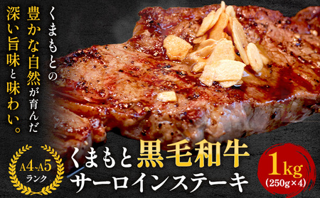 【A4～A5】くまもと黒毛和牛 サーロインステーキ 1kg《30日以内に出荷予定(土日祝除く)》 牛肉 くまもと黒毛和牛 黒毛和牛 冷凍庫 サーロイン ステーキ st-p