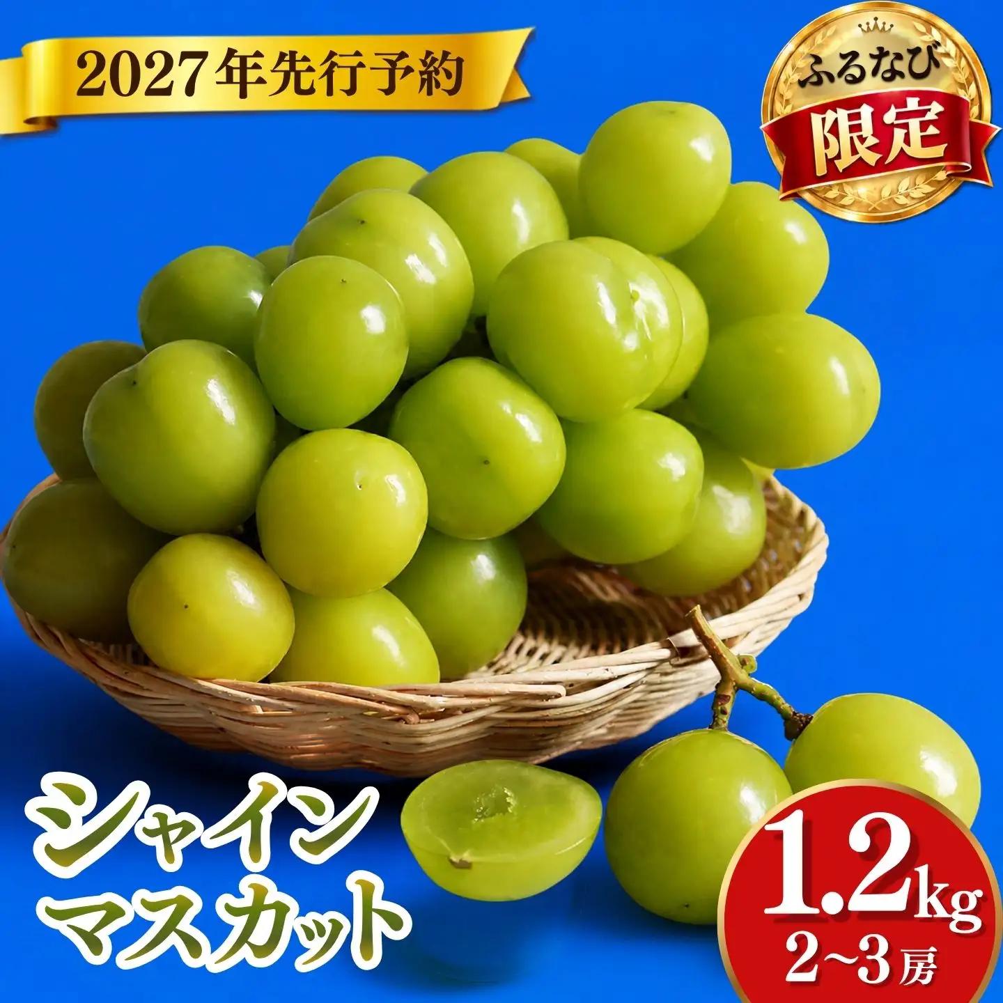 【2027年発送】山梨県産 シャインマスカット 1.2kg ｼｬｲﾝﾏｽｶｯﾄ
