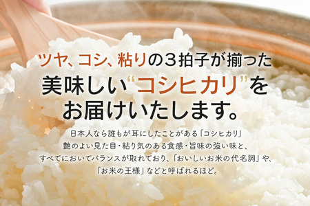 定期便 常陸牛農家が育てるコシヒカリ 10kg×6回 令和7年度産 米 お米 白米 こめ 精米 取り寄せ 特産 ごはん ご飯 コメ お取り寄せ ギフト 贈り物 お弁当 弁当 おにぎり ふっくら ツヤツ