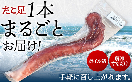北海道天塩町 煮たこ 足 700g前後<天塩の國> タコ 蛸 ミズダコ 海鮮 ボイル 刺身 おせち 北海道ふるさと納税