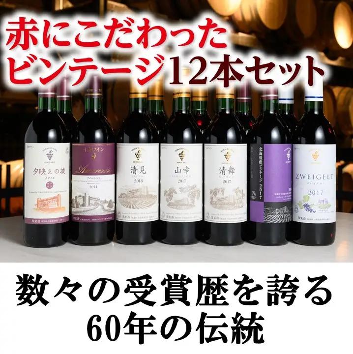 十勝ワイン 赤にこだわったビンテージ12本 北海道ワイン 国産ワイン ヴィンテージ ビンテージ 厳選 人気 受賞 