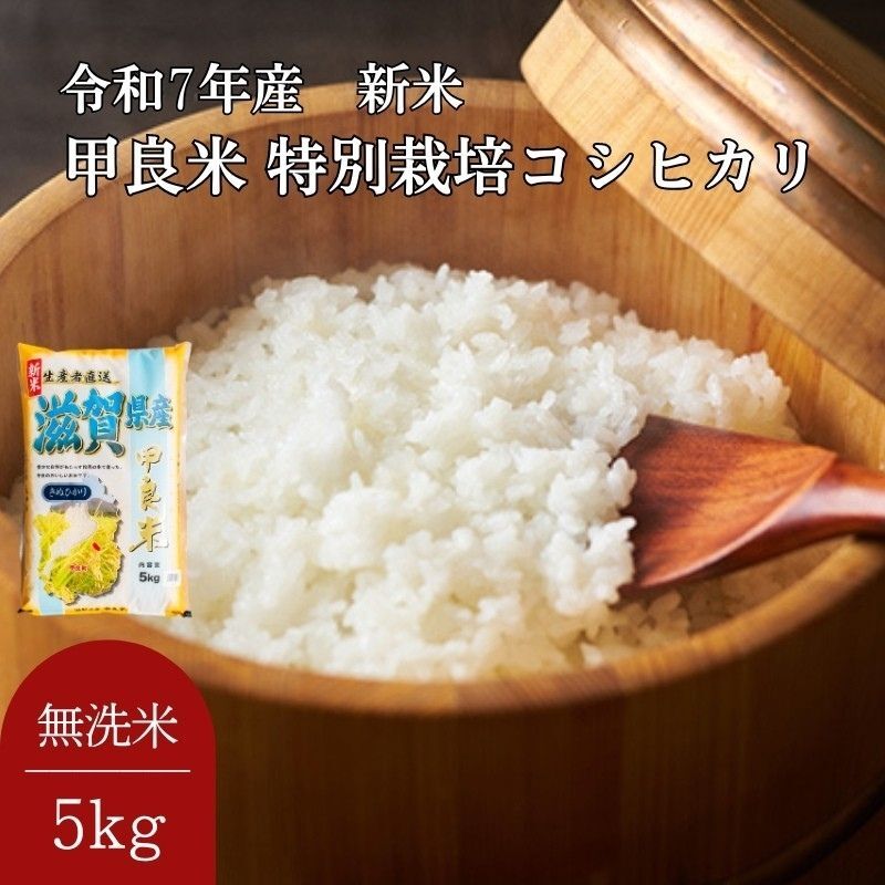 【ふるさと納税】400個限定【令和7年産新米】甲良米 特別栽培コシヒカリ 無洗米 5kg お米 ライス ご飯 ブランド米 銘柄米 お弁当 おにぎり 直送 主食 炭水化物 特別栽培米 時短 　お届け：ご入金の翌月中旬以降お届け