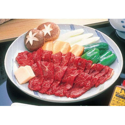 【ふるさと納税】馬上焼肉 3～4人前(たれ付)【配送不可地域：離島・沖縄県】【1497983】