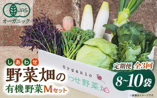 ＜毎月定期便＞しあわせ野菜畑の有機野菜　Mセット　(安心の有機JAS認証　オーガニック野菜)全3回【4066008】