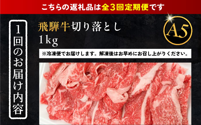 【3回定期便】 飛騨牛 切り落とし肉 A5ランク 1kg 和牛 国産 霜降り 恵那市 / 岩島屋 [AUAJ033]