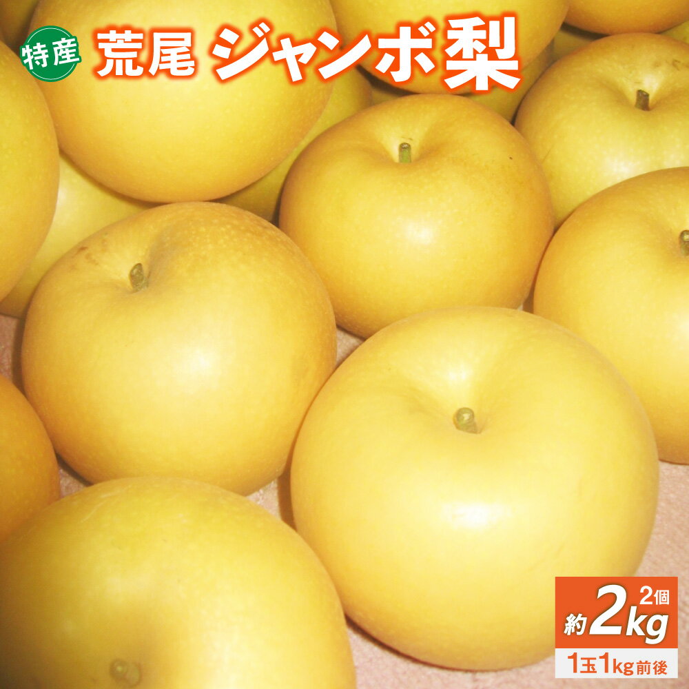 【ふるさと納税】特産 荒尾ジャンボ梨 2個 約2kg 新高梨 完熟 和梨 なし フルーツ 果物 くだもの 果実 旬 お取り寄せ 九州 熊本県 送料無料 【2026年10月上旬発送開始】