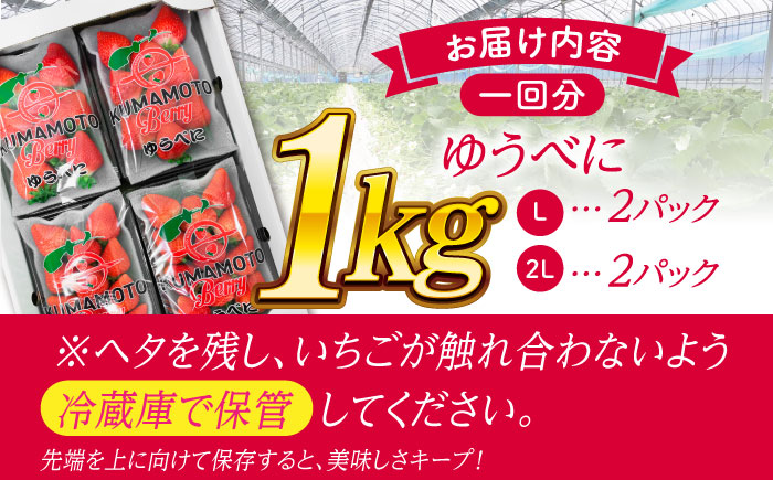 《4月より発送開始》 【3回定期便】 大粒いちご L～2L ゆうべに 1kg（4pc）【熊本ベリー】 [ZER025]