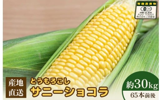 【2026年度発送分】上原農場直送 有機栽培とうもろこし (サニーショコラ) 約30kg 約65本前後