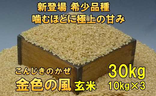 【令和7年産】【玄米30kg】新登場の高級米 岩手県奥州市産 金色の風 令和7年産 玄米30キロ [AC036]