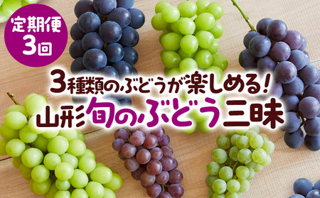 【定期便3回】3種類のぶどうが楽しめる！山形 旬のぶどう三昧 【令和7年産先行予約】FS23-771 くだもの 果物 フルーツ 山形 山形県 山形市 2025年産
