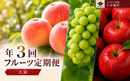 ［3回定期便］ 信州フルーツ3回コース  大箱［小布施屋］ 定期便 先行予約 フルーツ 数量限定 白桃 シャインマスカット ぶどう りんご お楽しみ 3回お届け 長野県産 信州産 令和8年産 【2026年7月～12月発送】[M-2]