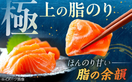 【訳あり】トラウトサーモン刺身 500g 滋賀県長浜市/株式会社中村屋[AQAJ047]
