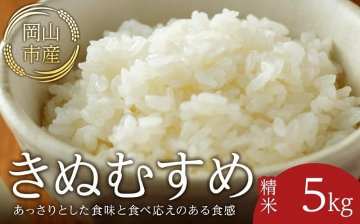 
                  令和8年産 米 きぬむすめ 岡山市産 精米 ( 5kg × 1袋 )
                