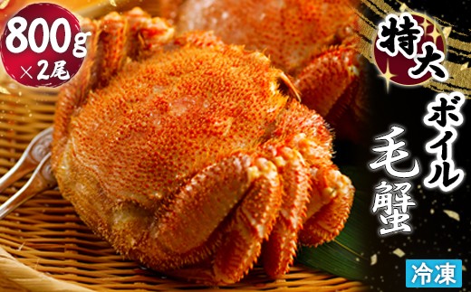 
                  冷凍 ボイル 毛がに 毛蟹 毛ガニ ボイル毛蟹 けがに カニ かに 蟹 800g×2 1.6kg かに味噌 かにみそ 塩ゆで 濃厚 蟹棒 海産 海鮮 魚貝 魚介 海の幸 ふるさと納税 北海道 恵庭市 恵庭【71007BA0101】
                