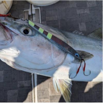 ふるさと納税 泉大津市 ルンゴ2　190g　オススメカラー　2本セット |  | 03