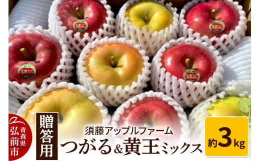 【25年9月発送】りんご 数量限定 つがる＆黄王ミックス【贈答用】約3kg