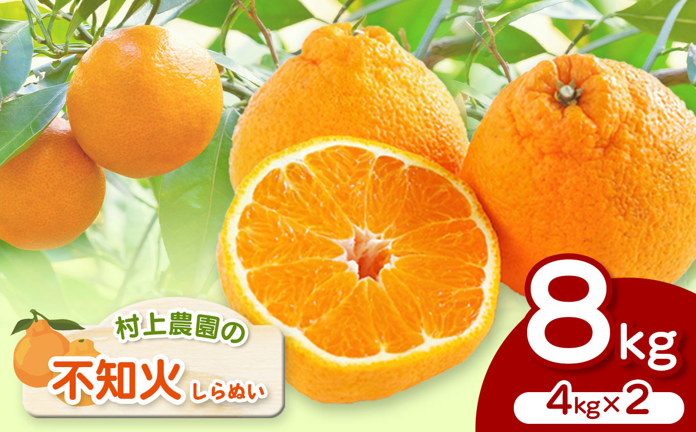 
            『 村上農園 』 不知火 4kg × 2 | フルーツ 果物 くだもの 柑橘 柑橘類 みかん ミカン 不知火 しらぬい 熊本県 玉名市
          
