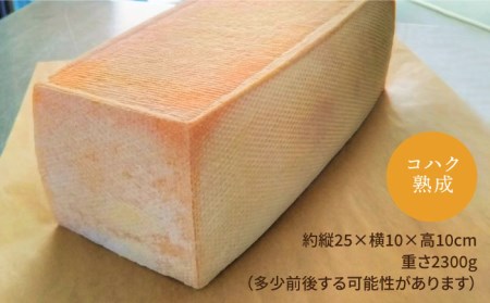 【糸島産生乳100％使用の手作りチーズ】コハク熟成 1ホール 糸島市 / 糸島ナチュラルチーズ製造所TAK-タック-[AYC011] チーズ 生乳 チーズ ナチュラルチーズ チーズセット チーズ詰め合