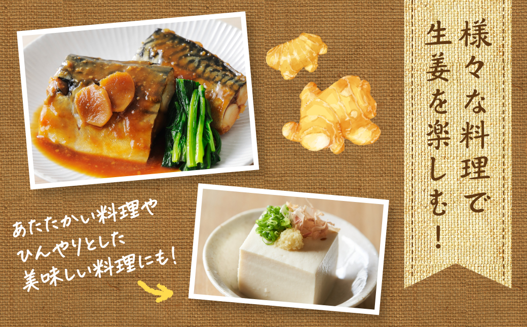 【先行予約】八代市東陽町産 新生姜1kg【2025年9月上旬より順次発送】