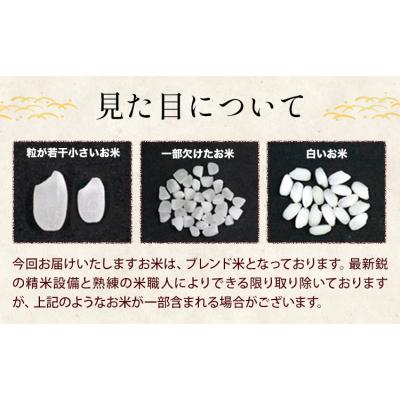 ふるさと納税 氷川町 【3ヶ月定期便】ひごみのり 無洗米 熊本県産 ブレンド米 10kg《お申込み翌月から出荷》 |  | 02