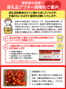 ※2026年発送※【令和8年産】山形県産 8種類 旬のフルーツ定期便（計8回） さくらんぼ ぶどう 桃 メロン りんご ラ・フランス 果物 お取り寄せ お楽しみ 食べ比べ ka008-100e008-