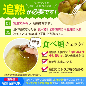 ラ・フランス & サンふじ 約 5kg セット フルーツ 果物 山形 08-05-017