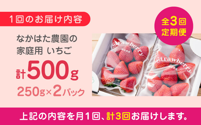【先行予約】【全3回定期便】【2025年12月より順次発送】 いちご 食べ比べセット 総計1.5kg ( 250g × 2P × 3回 ) 農園直送 産地直送 熊本県産 山都町産【なかはた農園】[YB