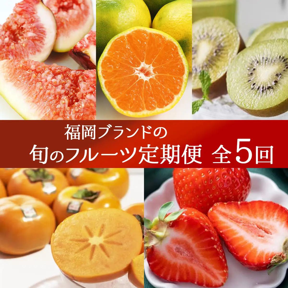 ＜5回定期便＞福岡ブランドの旬のフルーツ定期便 (篠栗町)｜イチジク ミカン キウイ 柿 イチゴ【NF019】