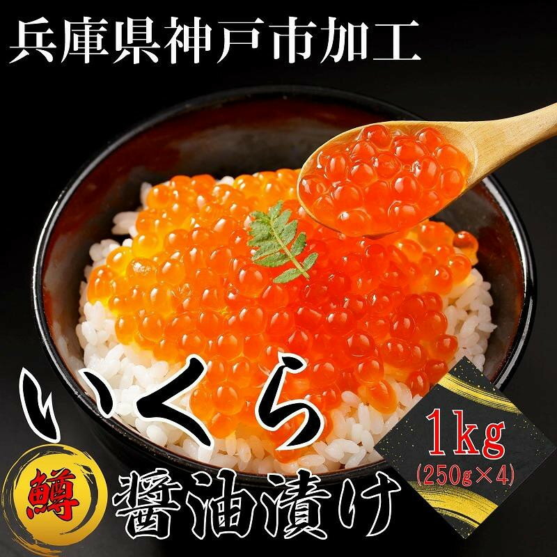 【ふるさと納税】いくら 鱒いくら醤油漬け 1kg（250g×4） | イクラ 鱒 鱒卵 マス ます 醤油漬け 醤油 しょうゆ漬け 魚卵 魚介類 水産 小分け 海鮮 食品 人気 おすすめ 送料無料
