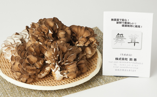 舞茸　12株【配送不可地域：離島】