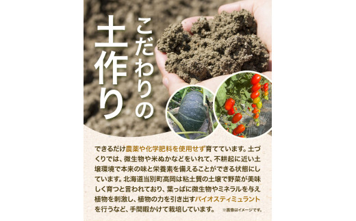 【0-8-220】北海道当別町産化学農薬不使用ミニトマト：甘っこ1.5kg