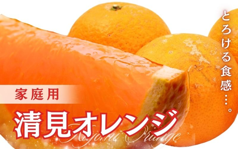 
            ＜2月より発送＞家庭用 清見2.5kg+250g（傷み補償分）【光センサー食頃出荷】【樹上完熟きよみオレンジ・清見タンゴール・清美】【わけあり・訳あり】【ikd199B】
          