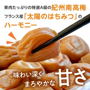 【1124-2】はちみつ梅干し（紀州南高梅）1.6kg 中粒 2L 和歌山県産
