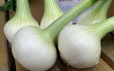 春の訪れ！淡路島の新たまねぎ（2㎏）◆配送２月～５月下旬