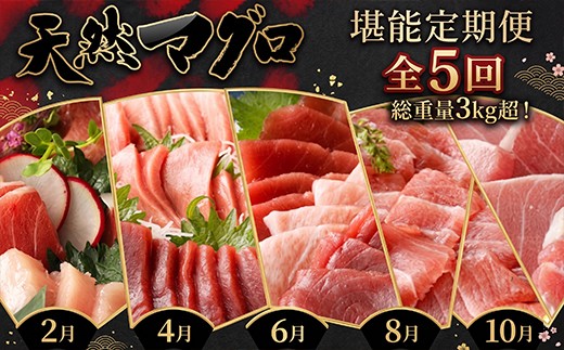 
                  【 定期便5回 】厳選天然マグロ 堪能定期便 お楽しみ 訳あり まぐろ 鮪 大トロ 中トロ 赤身 南マグロ めばちマグロ びんちょうマグロ 食べ比べ 刺身 刺し身 海鮮丼 寿司 魚 魚介類 冷凍 定期便 5ヶ月 ふるさと納税限定 送料無料 頒布会 マグロ定期便 鮪定期便 人気定期便 魚介定期便 海鮮定期便 刺身定期便 高知県 室戸市
                