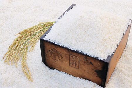 【令和8年】先行予約  近江米『コシヒカリ』　特別栽培米　10キロ（5キロ×2袋　真空梱包）