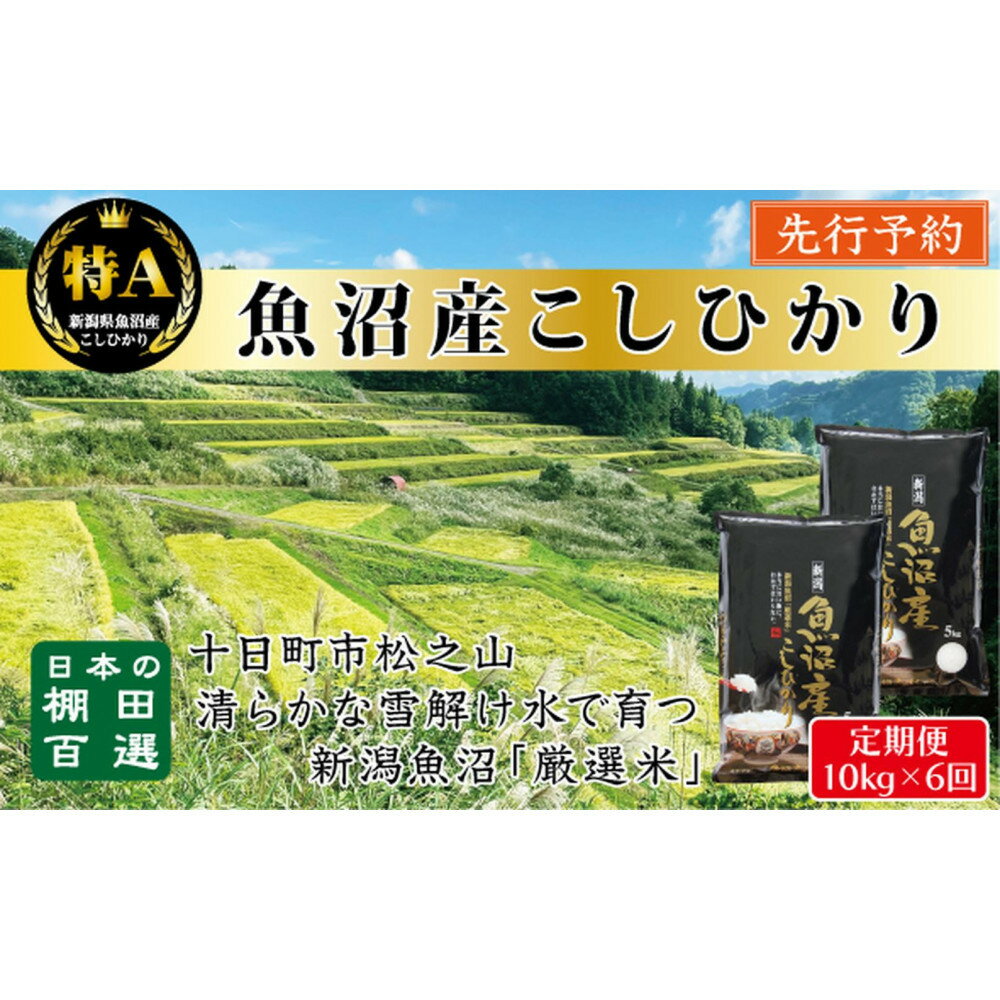 【ふるさと納税】【令和7年産新米予約】【6か月定期便】10月発送開始《食味鑑定士厳選》日本棚田百選・十日町（魚沼）産こしひかり 10kg全6回 | お米 こめ 白米 食品 人気 おすすめ 送料無料