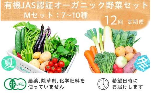 
                  ＜毎月定期便＞有機野菜　Mセット　オーガニック 野菜 セット　有機JAS　しあわせ野菜畑　全12回【4013499】
                