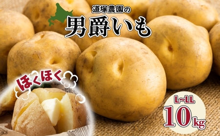 じゃがいも 男爵 北海道産 道塚農園 L-LLサイズ じゃがいも【計10kg前後】【先行予約】