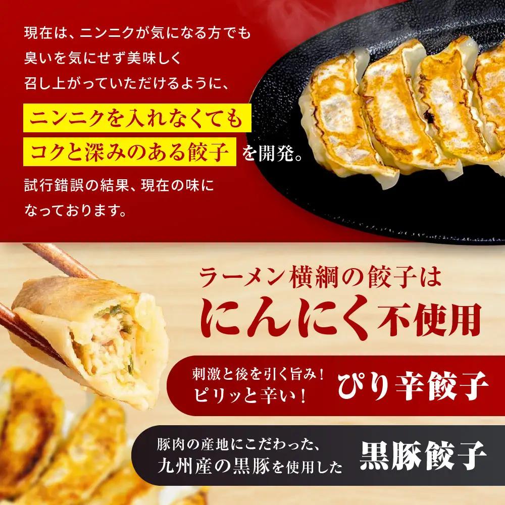 【ラーメン横綱】横綱の餃子はニンニク不使用! ぴり辛餃子＆黒豚餃子10パックセット(各5パック)