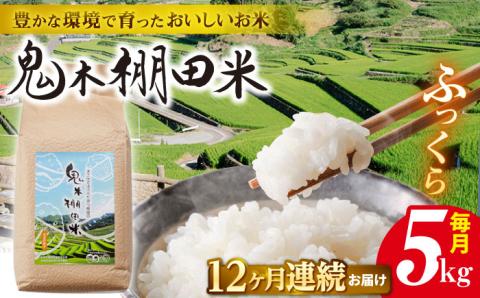 【先行予約 令和8年度米】【全12回定期便】鬼木 棚田米 5kg 鬼木の棚田 新米【原田製茶】 [GA20] 白米 小分け 精米