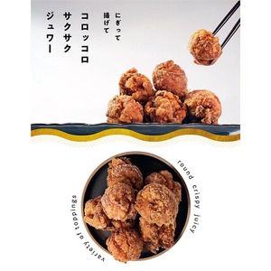 唐揚げ（もも）だし塩＋醤油 各500g 計1kg＜京都唐揚げ専門店 開＞鶏肉 鶏肉